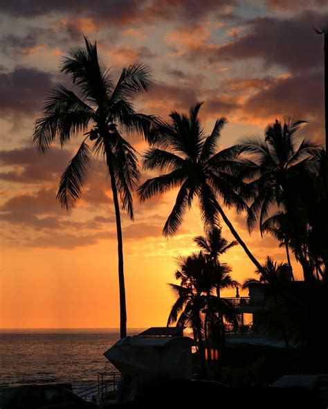 kona sunset perfect sunset   city  kona hawaii rennett
