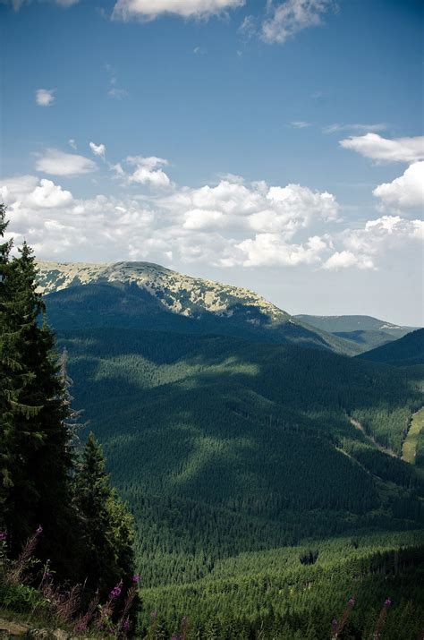 Carpathian Mountains Ukraine Photographer Lupiychuk Lesia Natural