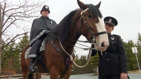Rnc Teams With Rainbow Riders To Offer Equine Therapy Program To First
