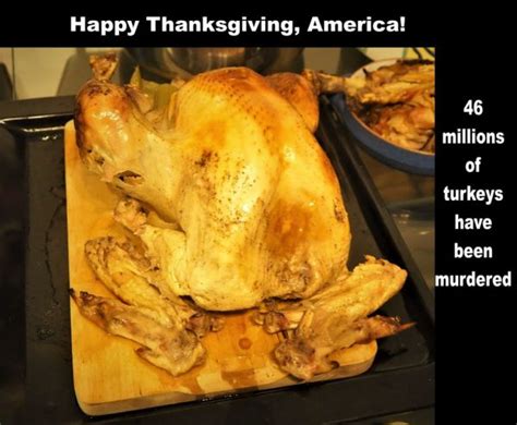 Die Grausame Realität Hinter Thanksgiving Truthahn The Truth About Thanksgiving Turkey 46