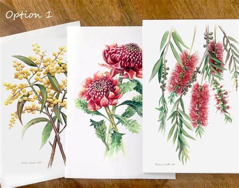 Australian Native Flora Set Of 3 Limited Edition Prints Etsy