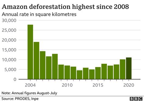 Hutan Amazon Deforestasi Melonjak Ke Taraf Tertinggi Dalam 12 Tahun