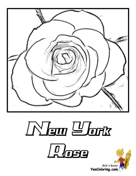 Free printable flower coloring pages. Rose Flowers Coloring Pages | Free| YesColoring | Rose ...