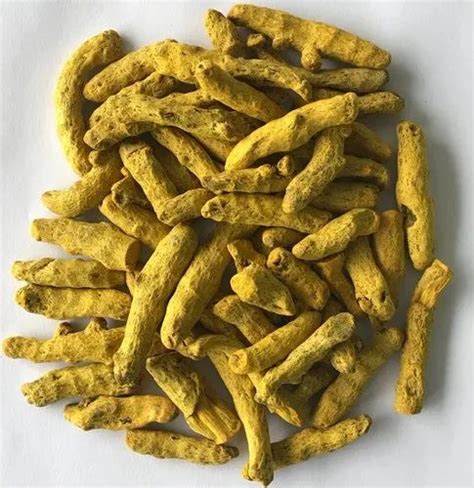 Salem Turmeric Finger At Rs Kg Turmeric Finger In Kurukshetra