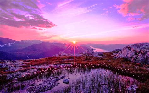 Download Wallpaper Purple Sunset Hd By Mlowery Purple Sunset