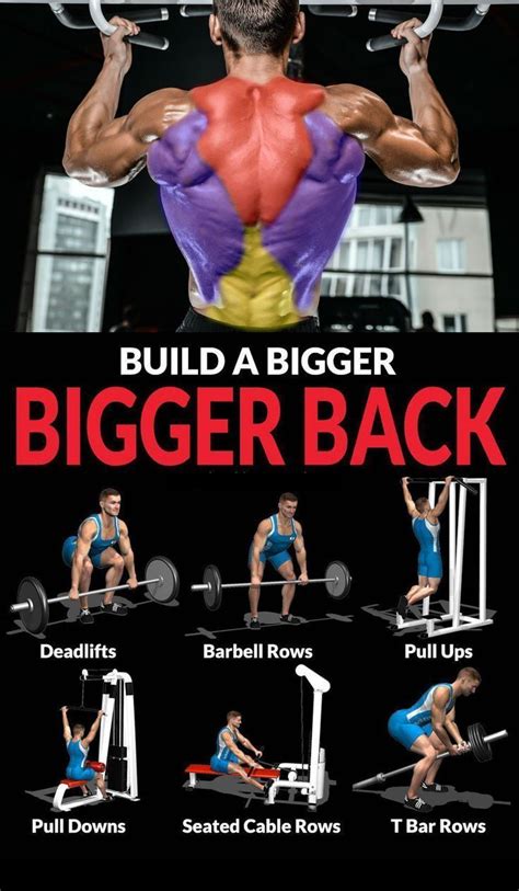 Top 10 The Best Muscle Building Back Exercises