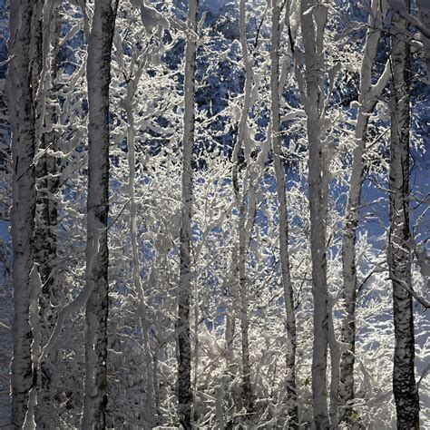 With a lockdown in place, there was no avalanche prevention in the backcountry. Otley Chevin Elden | 2021 Lockdown III Image I A dusting ...