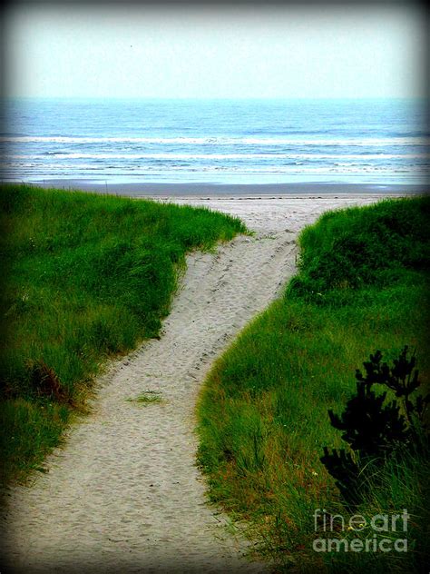 Path To Relaxation Photograph By Arabella Marie Fine Art America