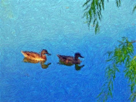 Free Images Outdoor Wing Pond Wildlife Underwater Swim
