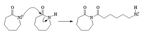 Polymerization Of Nylon 6 And Nylon 610