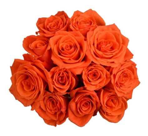 Passion Growers Dozen Fresh Cut Orange Roses Approximate Delivery Is 1