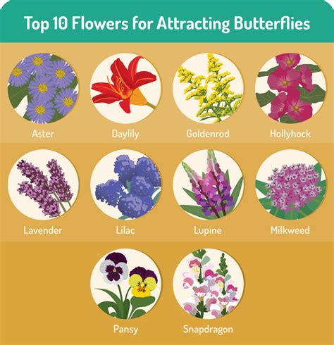 Flowers that attract bees and butterflies uk. Attracting Butterflies To Your Garden | Butterfly garden ...