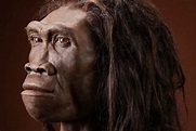 Los últimos Homo erectus vivieron hace unos 117 mil años - La Tercera