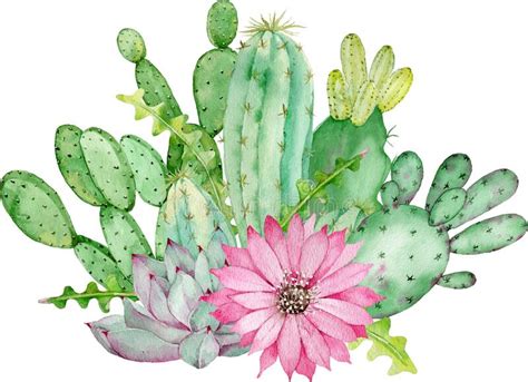Cactus Arrangement With Pink Flower Watercolor Hand Drawn