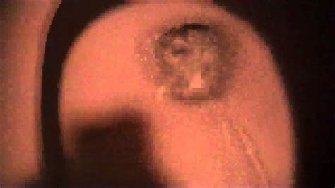 Kohler Vs Glacier Bay Toilets - Glacier Bay Toilet Problems