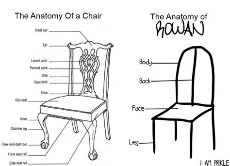 Image Result For Anatomy Of A Chair Cabriole Legs Quatrefoil Chair