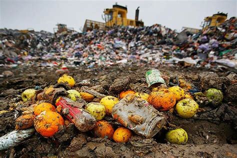 Food Waste In America Environmental Center University Of Colorado