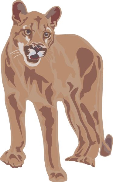 Free Cougar Clipart