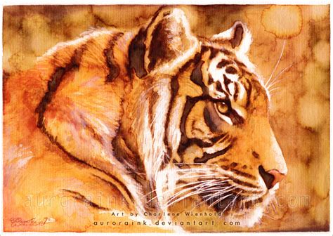 Tiger Tigers Fan Art 20503954 Fanpop