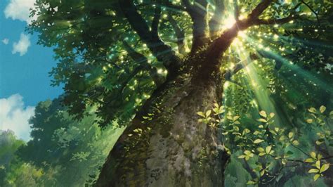 Studio Ghibli Backgrounds A Large Tree Click Here