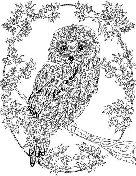 Owl Coloring Pages For Adults Free Detailed Owl Coloring Pages