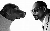 The best snoop dogg songs - maxbmanage