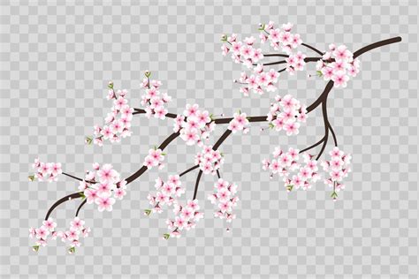 Vector Cherry Blossom Sakura Flower Graphic By Tanu · Creative Fabrica