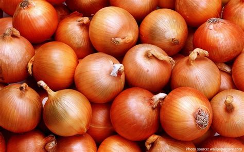 Interesting Facts About Onions Just Fun Facts