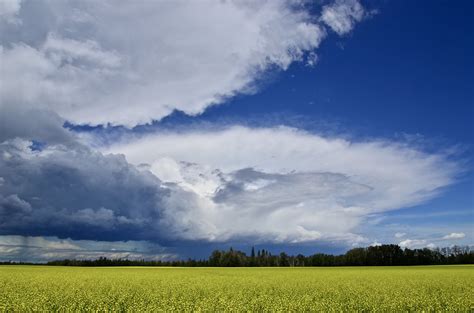 Prairie Storm Canola Fields And Stormy Skies Nisku Alber Flickr