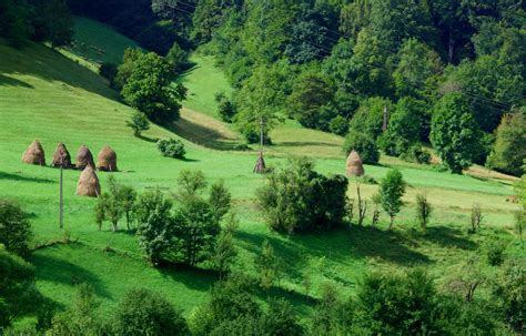 Mountain Hillside Free Stock Photo Public Domain Pictures