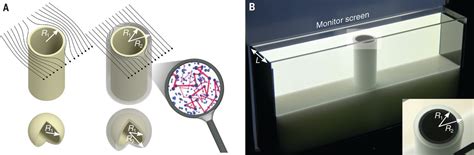 Invisibility Cloaking In A Diffusive Light Scattering Medium Science