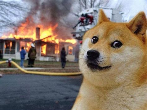 Learn about the dogecoin price, crypto trading and more. when people talk bad about doge : dogecoin