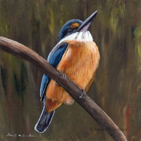 Bird Painting Art Sacred Kingfisher Sfa Wildlife Original Hand Etsy