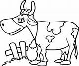 Coloring Cow Cartoon Cattle Vacas Colorear Printable Imprimir Illustration Cows Pintar Decorar Para Supercoloring Clip sketch template