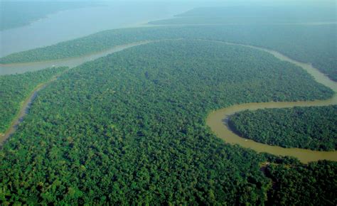 Fileaerial View Of The Amazon Rainforest Wikipedia The Free