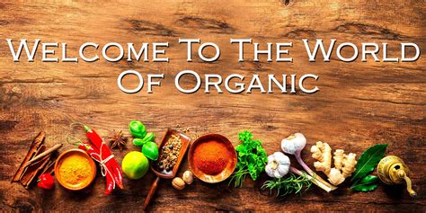 Our aim is o be a comprehensive resource this directory supports organic food production, distribution, processing and consumption in australia. Reasons to Choose Organic Food Suppliers in Australia ...