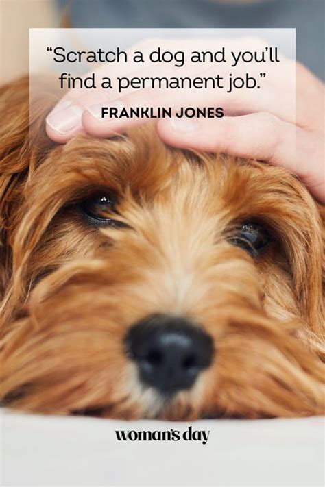 37 Best Dog Quotes Inspirational And Funny Sayings About Dogs