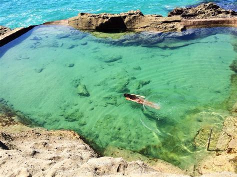 Thousand steps beach in laguna, california has beautiful tide pools. Secret little pools in Laguna Beach, CA | #mermaidlife ...