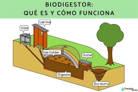 Biodigestor Qu Es Y C Mo Funciona Resumen