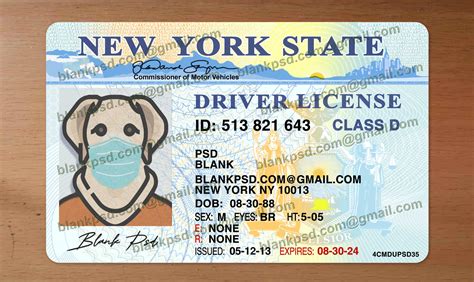 New York Drivers License Template V1 Blank Psd