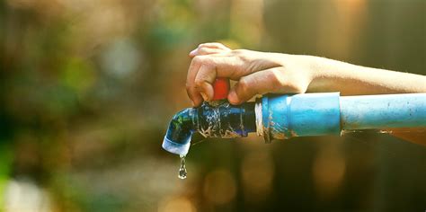 Chega De Desperdício 10 Dicas Para Economizar água Divinolândia