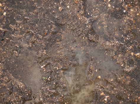 | meaning, pronunciation, translations and examples. Mud Texture | Mud texture PERMISSION TO USE: Please check ...