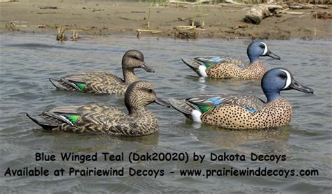 Prairiewind Decoys Free Shipping Blue Wing Teal Duck