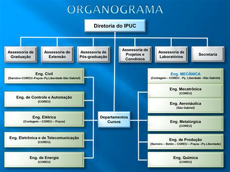 Estrutura Organizacional E Organograma De Uma Empresa Várias Estruturas