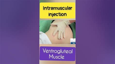 im injection in ventrogluteal muscle nclex rn osce nursing full video in playlist