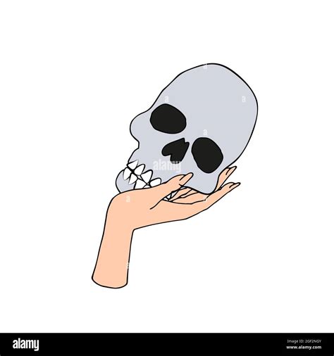 Vintage Mystic Female Hand Holding Human Skull Stock Vector Image And Art
