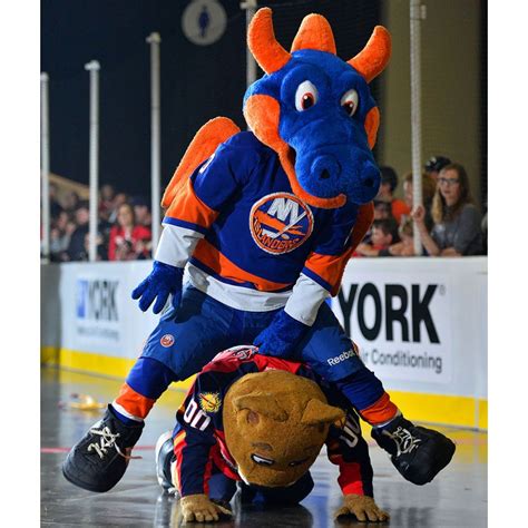 I am currently in the mascot relocation program. New York Islanders Sparky the Dragon Mascot