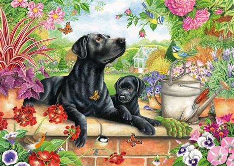 Black Labrador And Pup By Claire Comerford 1000 Piece Jigsaw Asterisk
