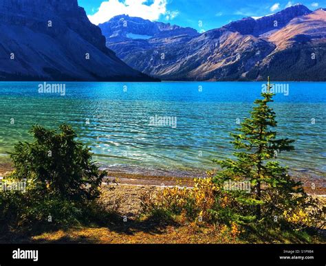 Bow Lake Banff National Park Alberta Canada Stock Photo Alamy