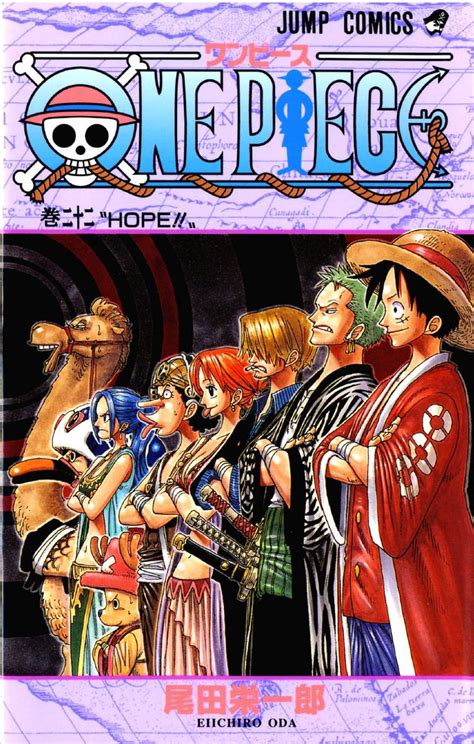 Pin On One Piece Covers